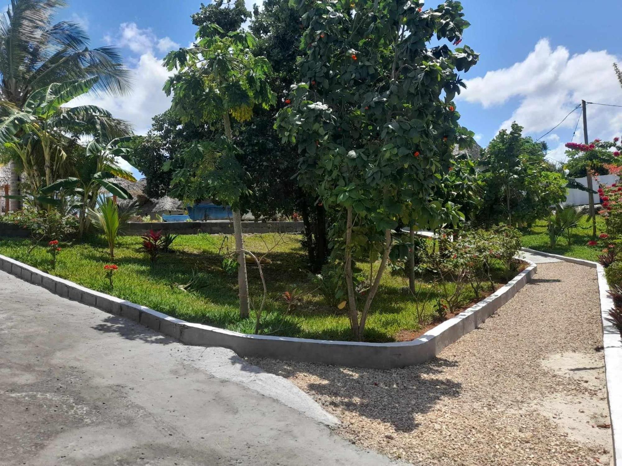 ホテル Africa Dream Bungalow Kiwengwa キウェンワ エクステリア 写真