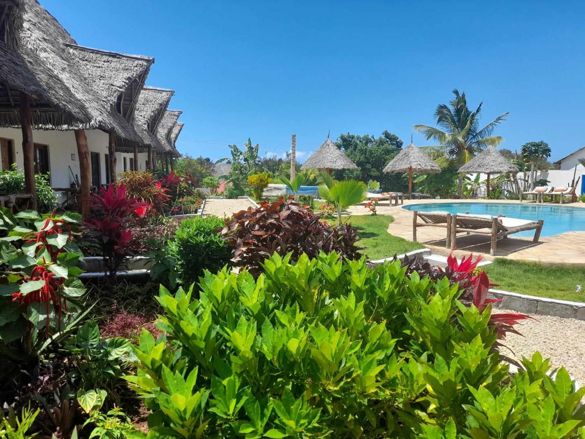 ホテル Africa Dream Bungalow Kiwengwa キウェンワ エクステリア 写真