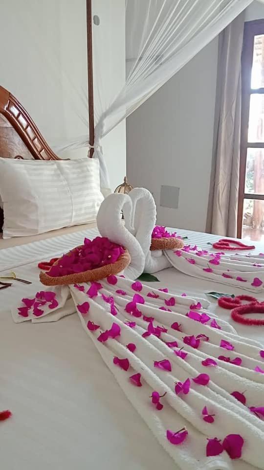 ホテル Africa Dream Bungalow Kiwengwa キウェンワ エクステリア 写真
